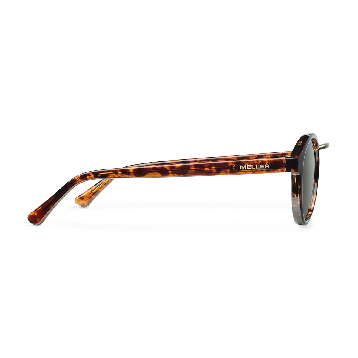 NYASA TIGRIS OLIVE - Imagen 3